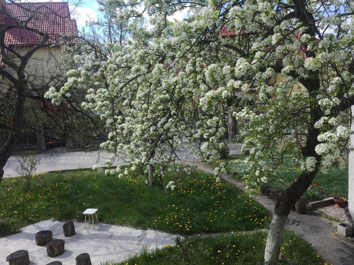 Квартира-Студия В Стиле Шале Truskavets Bagian luar foto